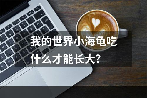 我的世界小海龟吃什么才能长大？