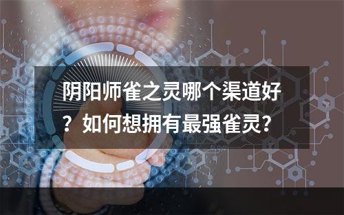 阴阳师雀之灵哪个渠道好？如何想拥有最强雀灵？