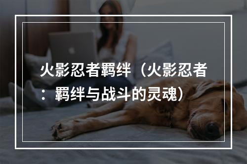 火影忍者羁绊（火影忍者：羁绊与战斗的灵魂）