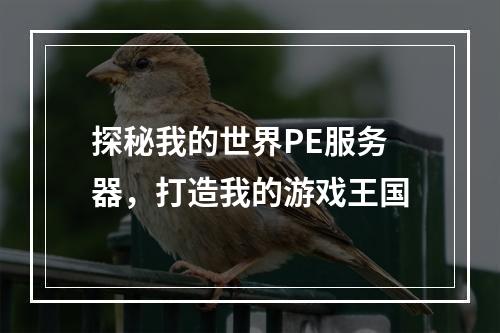 探秘我的世界PE服务器，打造我的游戏王国