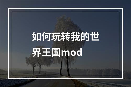 如何玩转我的世界王国mod