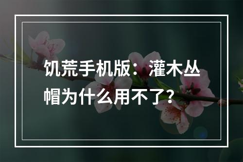 饥荒手机版：灌木丛帽为什么用不了？