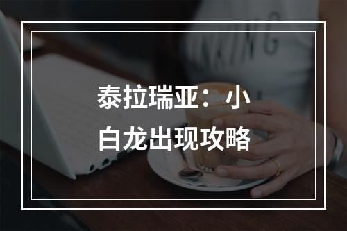 泰拉瑞亚：小白龙出现攻略