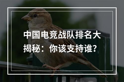 中国电竞战队排名大揭秘：你该支持谁？