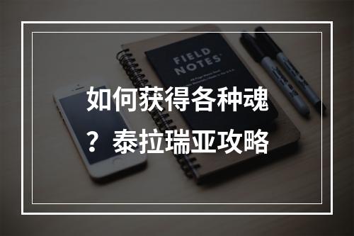 如何获得各种魂？泰拉瑞亚攻略