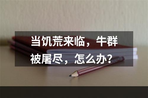 当饥荒来临，牛群被屠尽，怎么办？