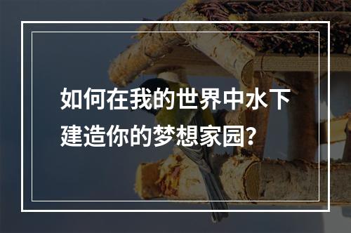 如何在我的世界中水下建造你的梦想家园？