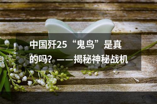 中国歼25“鬼鸟”是真的吗？——揭秘神秘战机