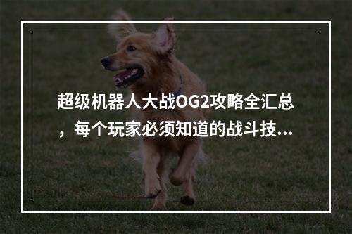 超级机器人大战OG2攻略全汇总，每个玩家必须知道的战斗技巧和秘笈！