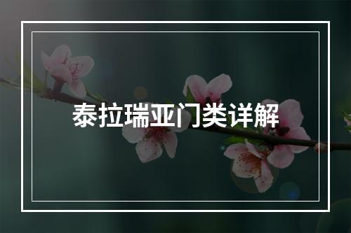 泰拉瑞亚门类详解