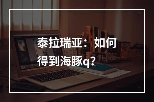 泰拉瑞亚：如何得到海豚q？