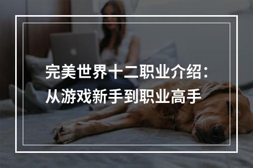 完美世界十二职业介绍：从游戏新手到职业高手