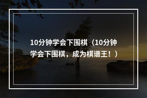 10分钟学会下围棋（10分钟学会下围棋，成为棋谱王！）