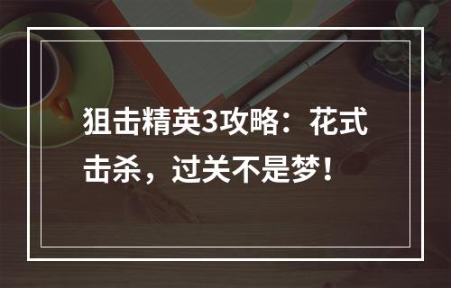 狙击精英3攻略：花式击杀，过关不是梦！