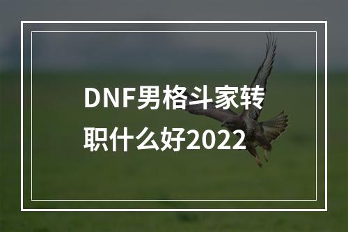 DNF男格斗家转职什么好2022