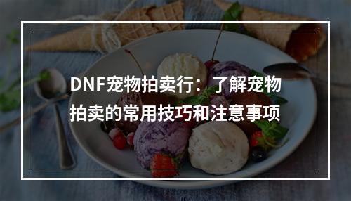 DNF宠物拍卖行：了解宠物拍卖的常用技巧和注意事项