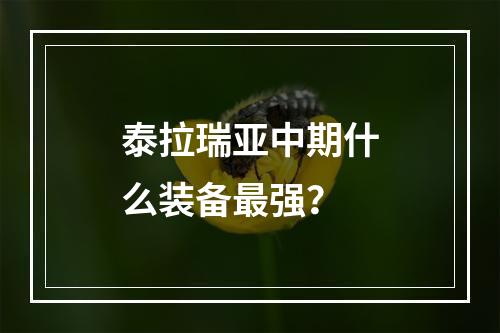 泰拉瑞亚中期什么装备最强？