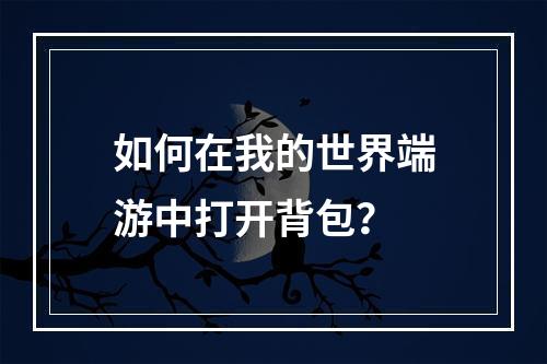 如何在我的世界端游中打开背包？