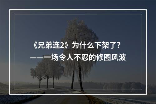 《兄弟连2》为什么下架了？——一场令人不忍的修图风波