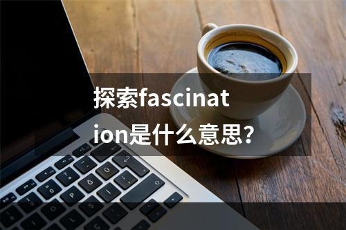 探索fascination是什么意思？