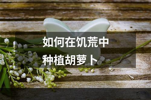 如何在饥荒中种植胡萝卜