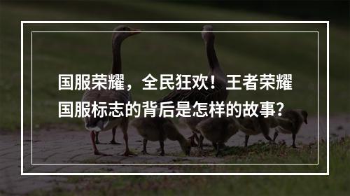 国服荣耀，全民狂欢！王者荣耀国服标志的背后是怎样的故事？