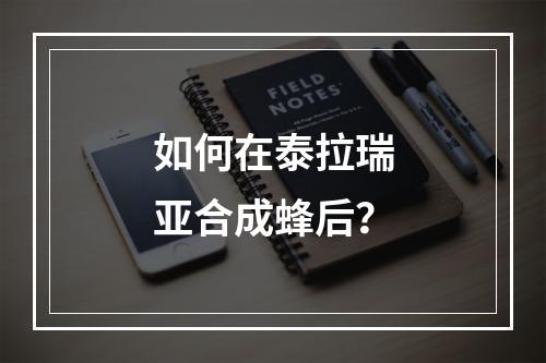 如何在泰拉瑞亚合成蜂后？