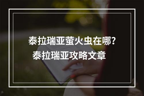 泰拉瑞亚萤火虫在哪？  泰拉瑞亚攻略文章