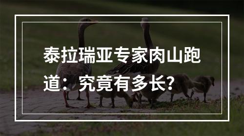 泰拉瑞亚专家肉山跑道：究竟有多长？