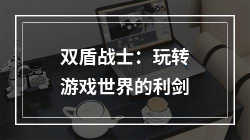 双盾战士：玩转游戏世界的利剑