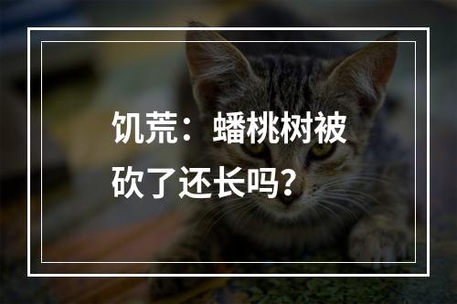 饥荒：蟠桃树被砍了还长吗？