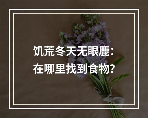 饥荒冬天无眼鹿：在哪里找到食物？