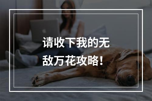 请收下我的无敌万花攻略！