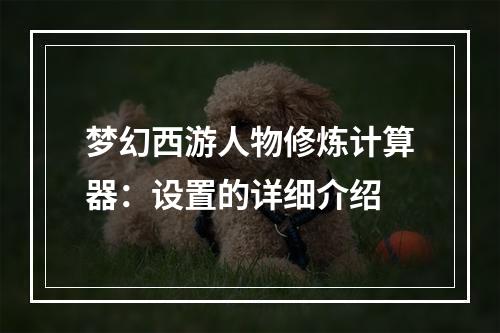 梦幻西游人物修炼计算器：设置的详细介绍