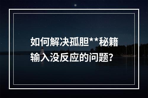 如何解决孤胆**秘籍输入没反应的问题？