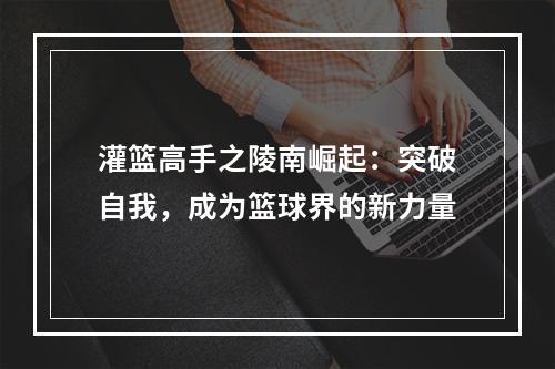 灌篮高手之陵南崛起：突破自我，成为篮球界的新力量