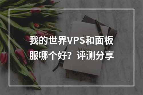 我的世界VPS和面板服哪个好？评测分享