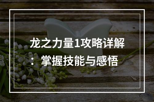 龙之力量1攻略详解：掌握技能与感悟