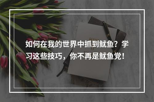 如何在我的世界中抓到鱿鱼？学习这些技巧，你不再是鱿鱼党！