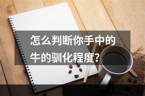 怎么判断你手中的牛的驯化程度？