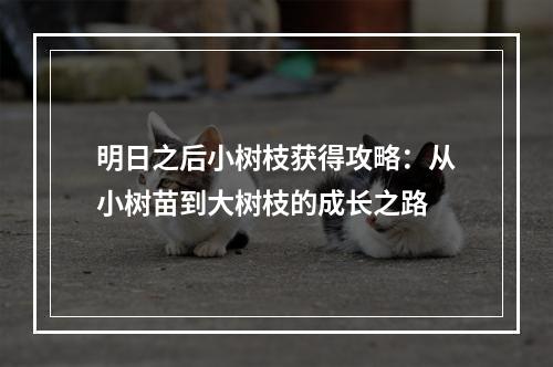 明日之后小树枝获得攻略：从小树苗到大树枝的成长之路