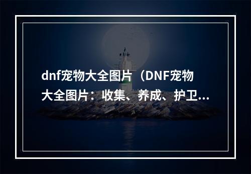 dnf宠物大全图片（DNF宠物大全图片：收集、养成、护卫）