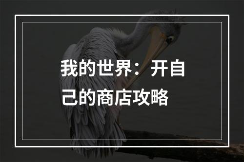 我的世界：开自己的商店攻略