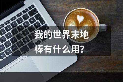 我的世界末地棒有什么用？