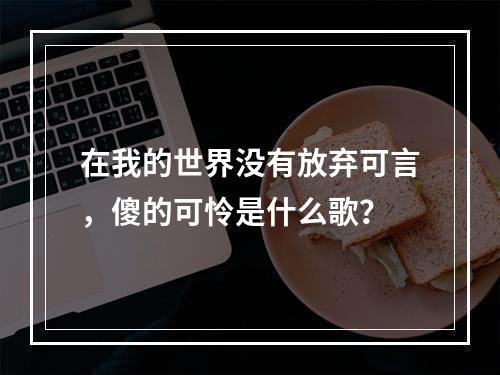 在我的世界没有放弃可言，傻的可怜是什么歌？