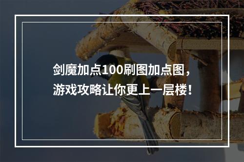 剑魔加点100刷图加点图，游戏攻略让你更上一层楼！