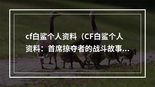 cf白鲨个人资料（CF白鲨个人资料：首席掠夺者的战斗故事）