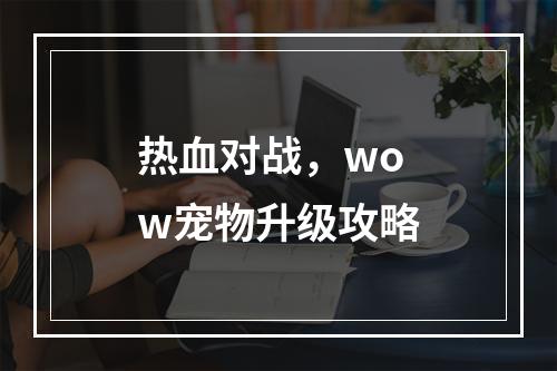 热血对战，wow宠物升级攻略