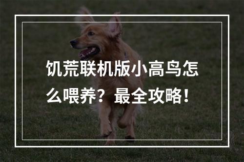 饥荒联机版小高鸟怎么喂养？最全攻略！