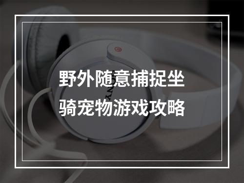 野外随意捕捉坐骑宠物游戏攻略